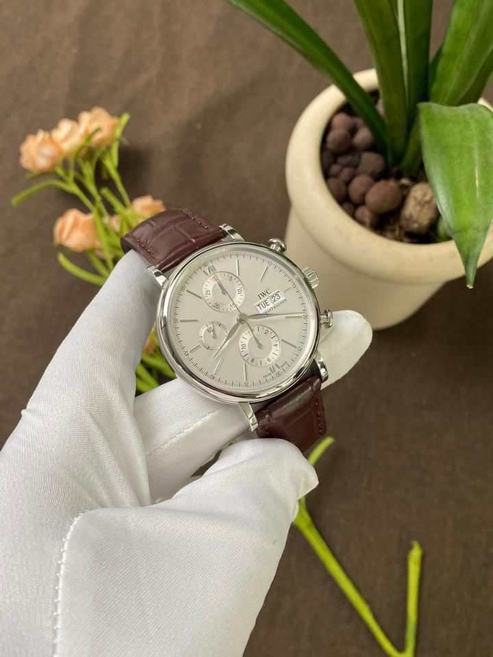 IWC Portofino